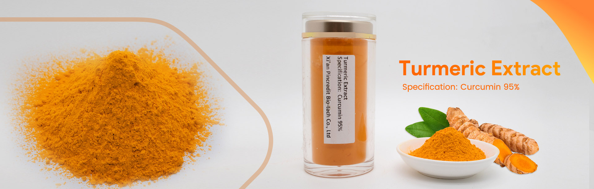 Curcumin Powder Curcumin Powder